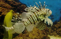 手机号群发平台